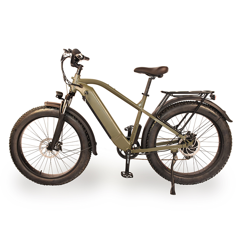 Power-31F Raider Electric Fat Tire Bike