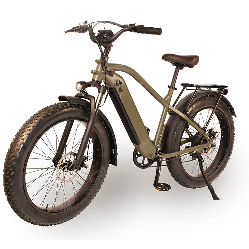 Power-31F Raider Electric Fat Tire Bike