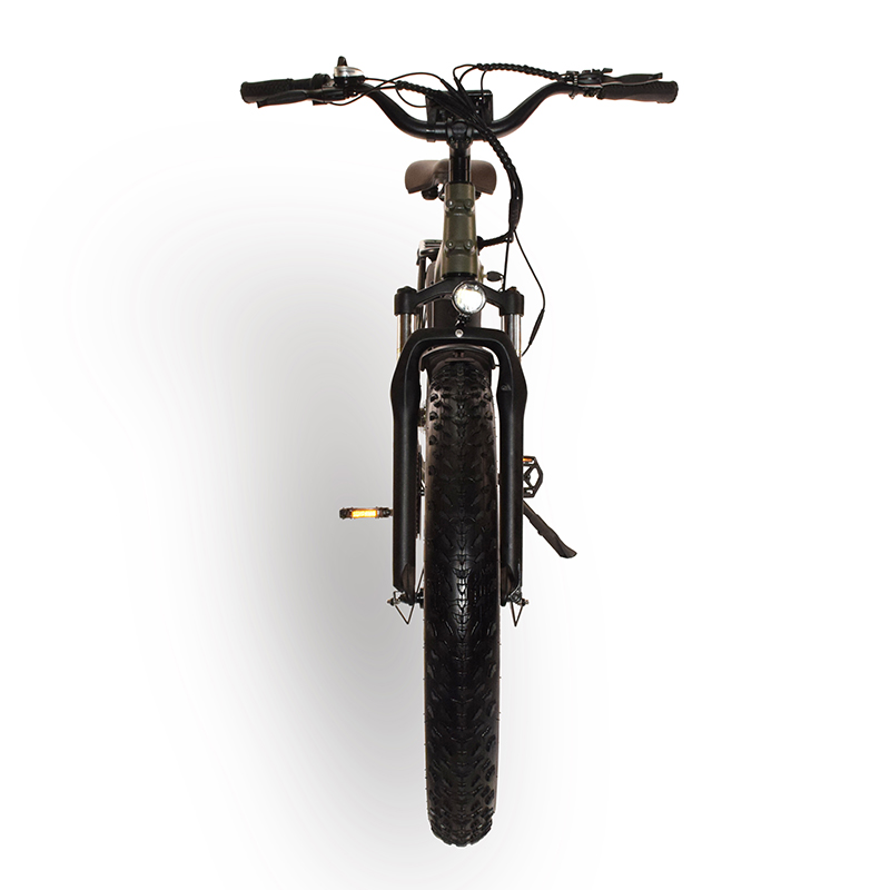 Power-31F Raider Electric Fat Tire Bike