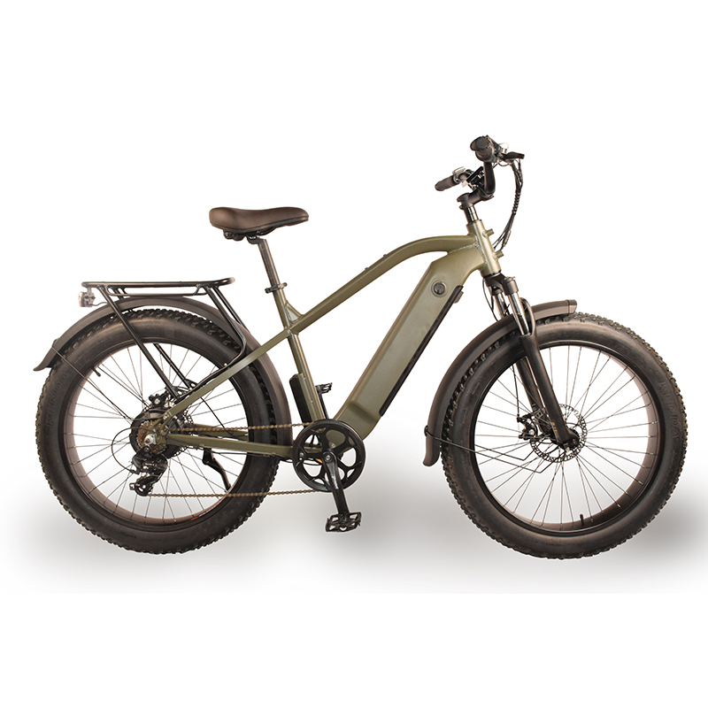 Power-31F Raider Electric Fat Tire Bike
