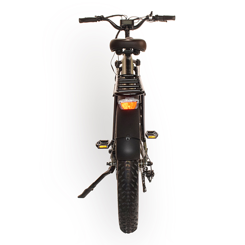 Power-31F Raider Electric Fat Tire Bike