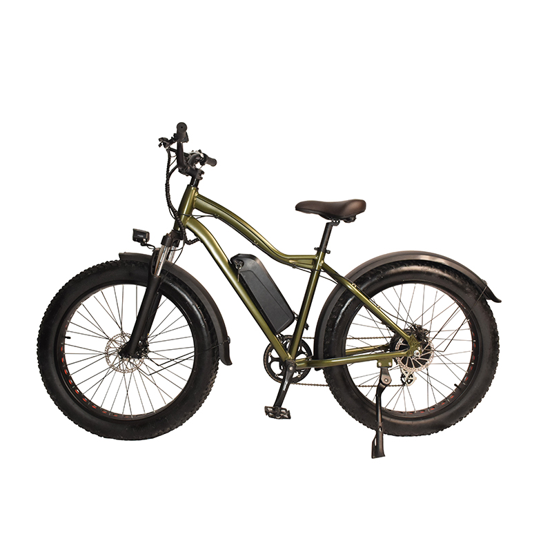 F-34 Raider Fat Tire Electric