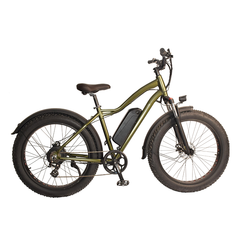 F-34 Raider Fat Tire Electric