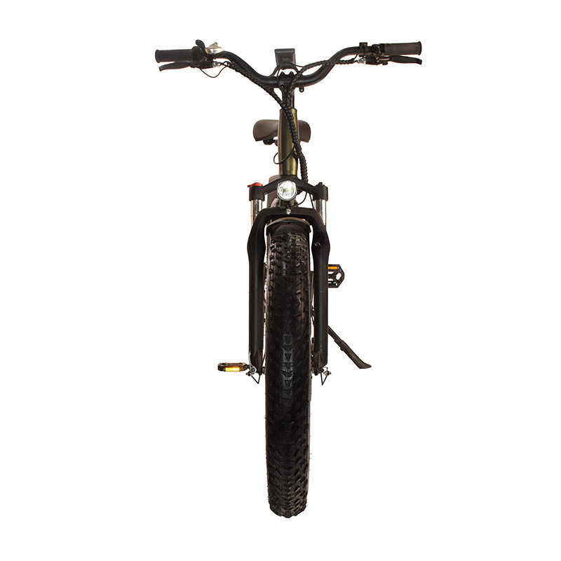 F-34 Raider Fat Tire Electric