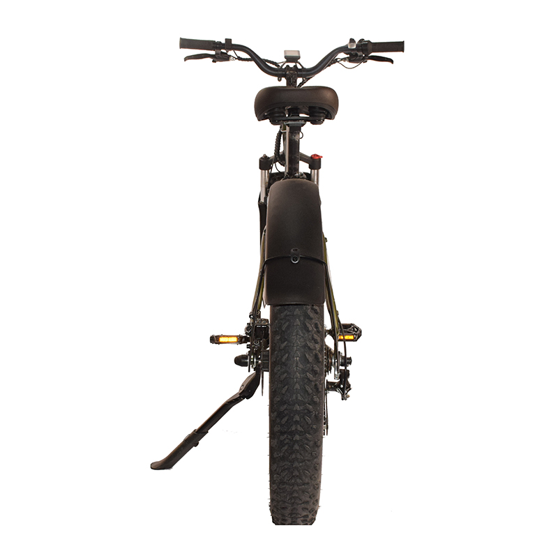 F-34 Raider Fat Tire Electric