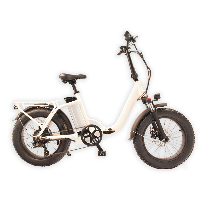 Expand-45F Raider Electric Folding Bike
