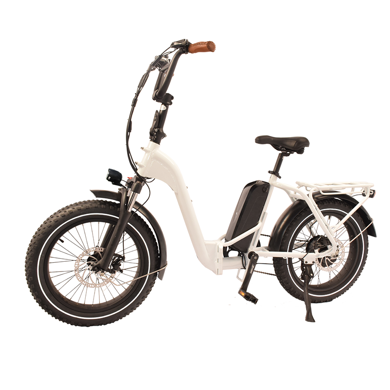 F 45 Raider Space Saver Electric Folding Bikes Ebikes Raider E