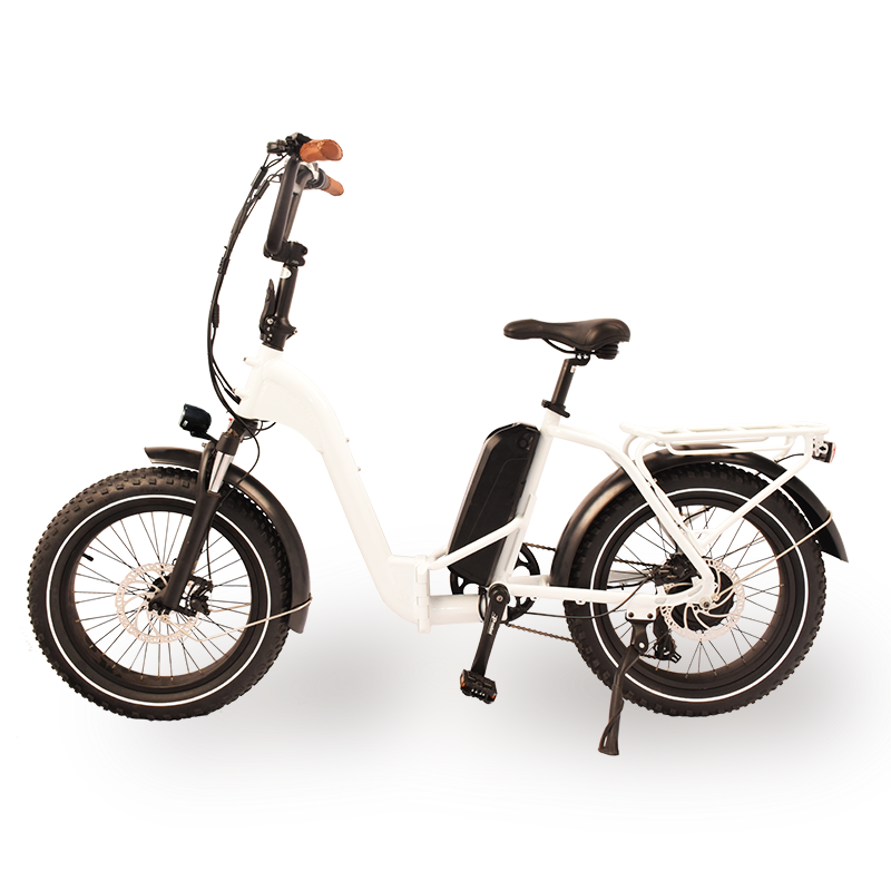F-45 Raider Space-Saver Electric Folding Bikes