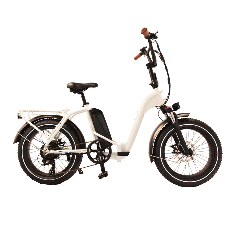 F-45 Raider Space-Saver Electric Folding Bikes