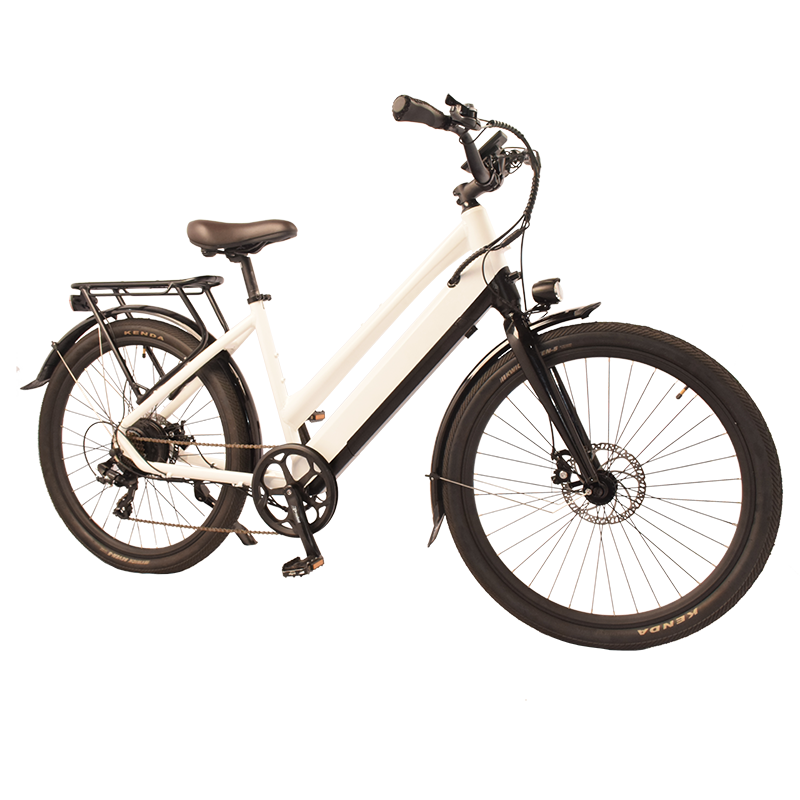 City-805 Raider Electric Commuter Bike