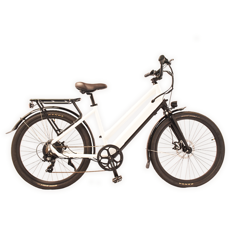 City-805 Raider Electric Commuter Bike