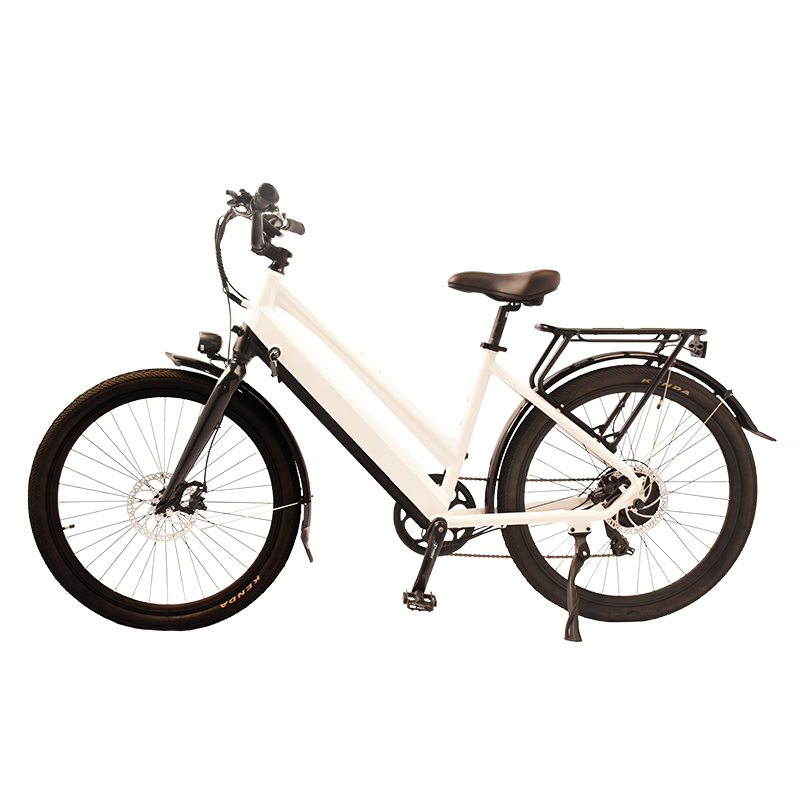 City-805 Raider Electric Commuter Bike