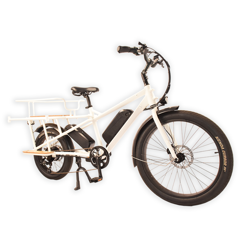 Wagon-602S Raider Electric Cargo Bike.The Trusted Cargo Carrier.
