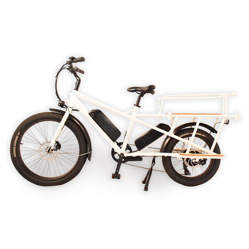 Wagon-602S Raider Electric Cargo Bike.The Trusted Cargo Carrier.