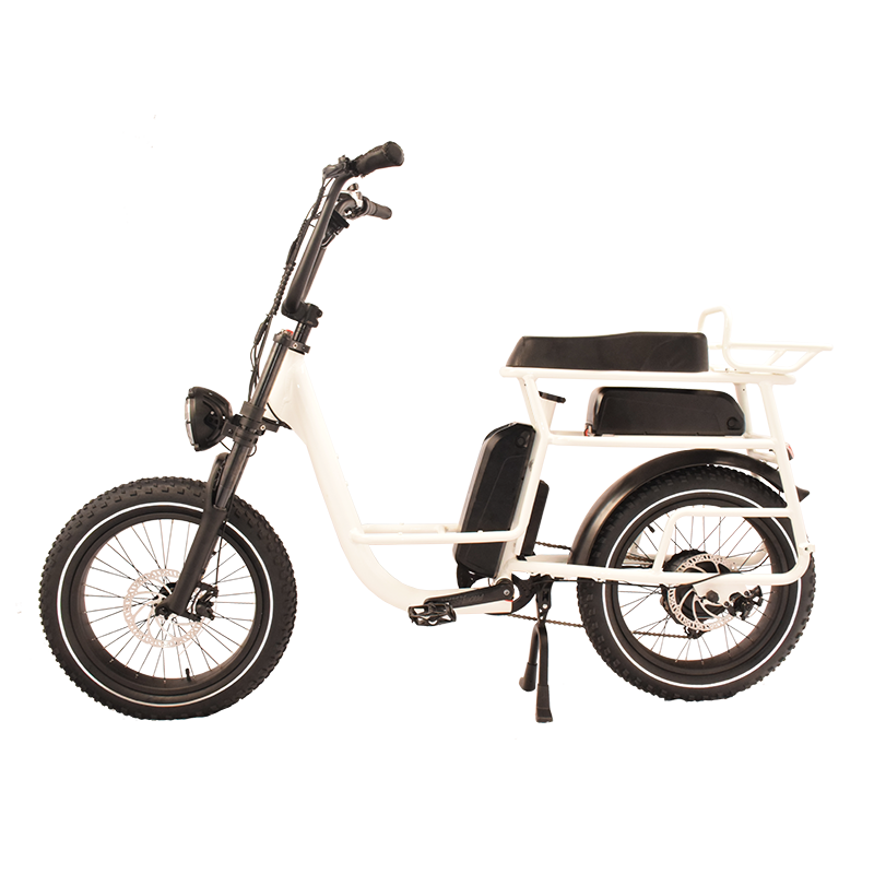 Power-40FS Raider Infinite function bicycle.Dual batteries