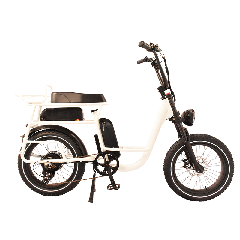 Power-40FS Raider Infinite function bicycle.Dual batteries
