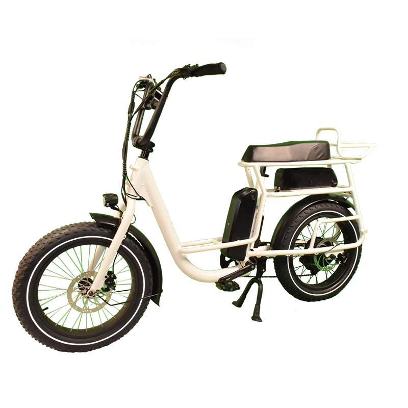 Power-40F Raider Infinite functional Cargo bike