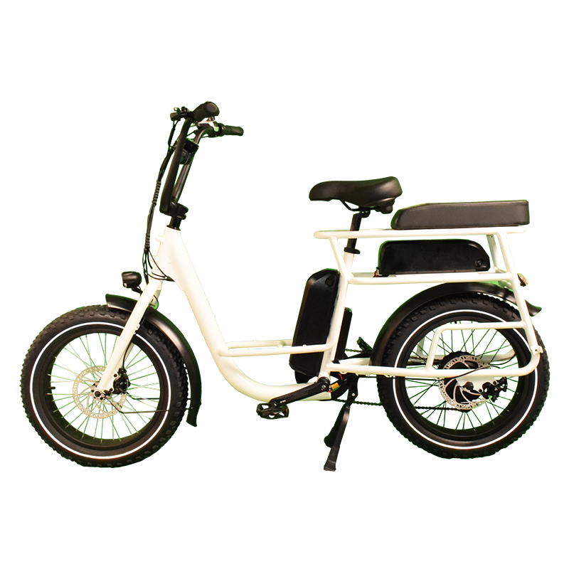 Power-40F Raider Infinite functional Cargo bike