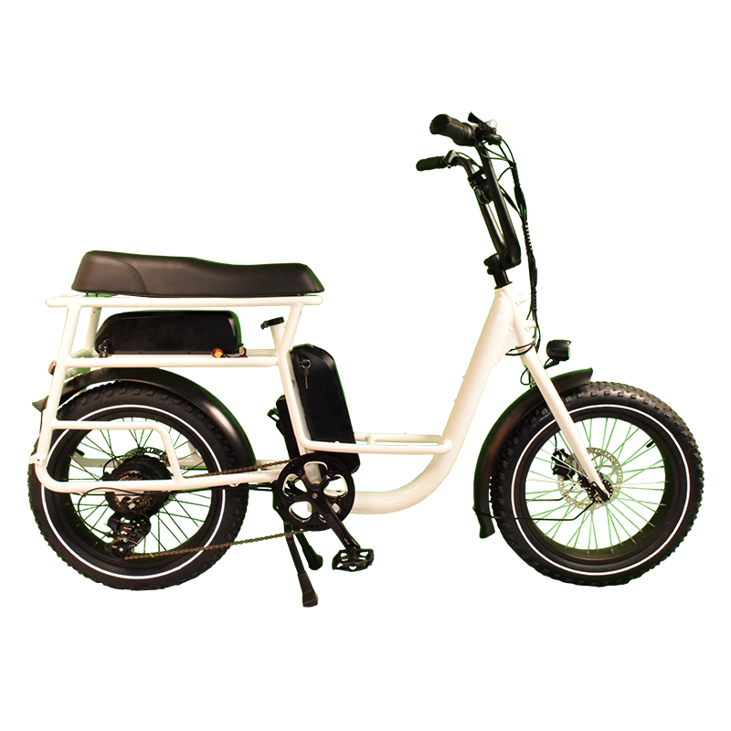 Power-40F Raider Infinite functional Cargo bike