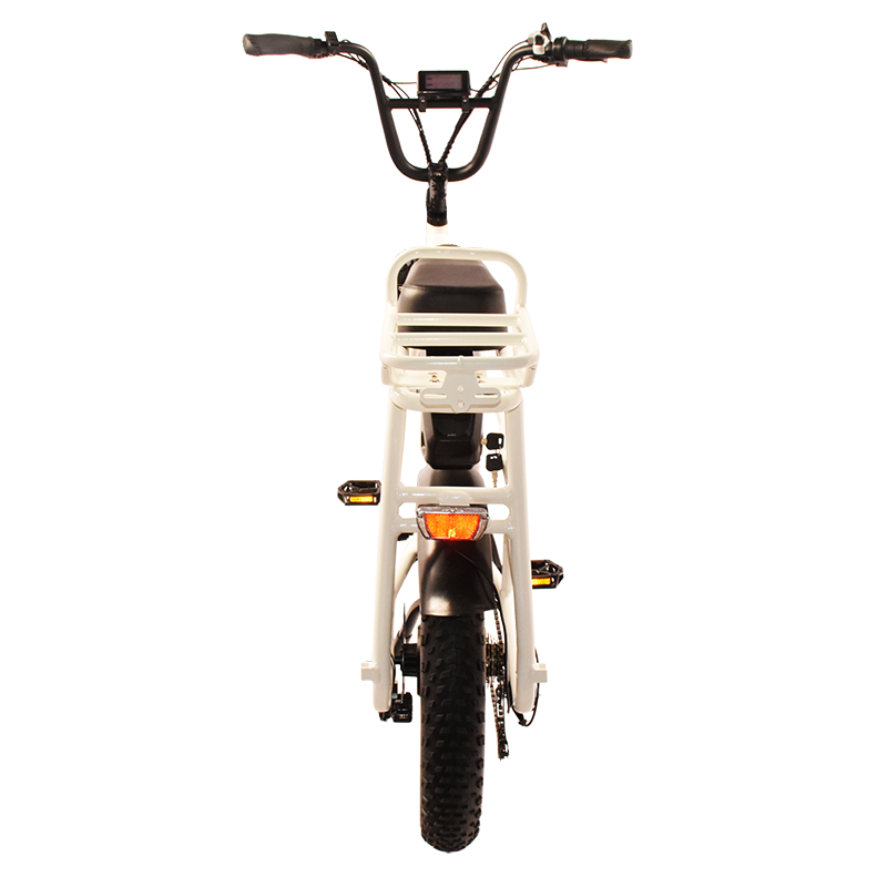 Power-40F Raider Infinite functional Cargo bike