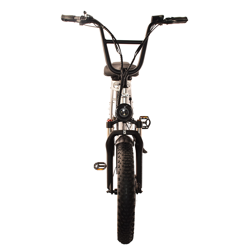 Runner-34F Raider Electric Utility Bike.Bring a friend Cargo