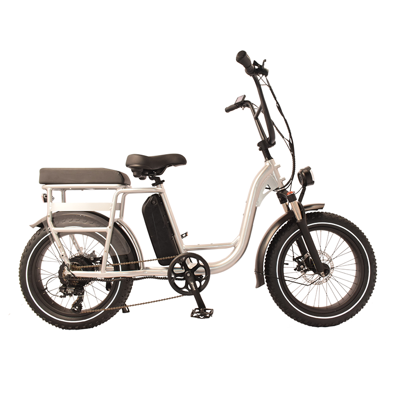 Runner-34F Raider Electric Utility Bike.Bring a friend Cargo