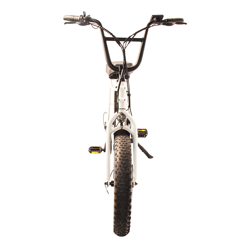 Power-32F Raider Electric Utility Bike The Jack of All Trades