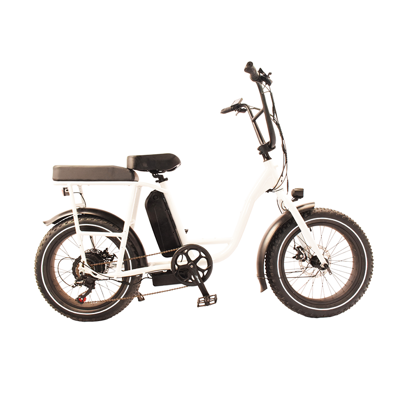 Power-32F Raider Electric Utility Bike The Jack of All Trades