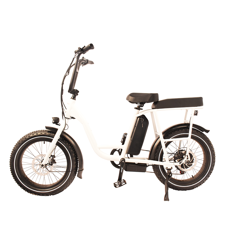 Power-32F Raider Electric Utility Bike The Jack of All Trades