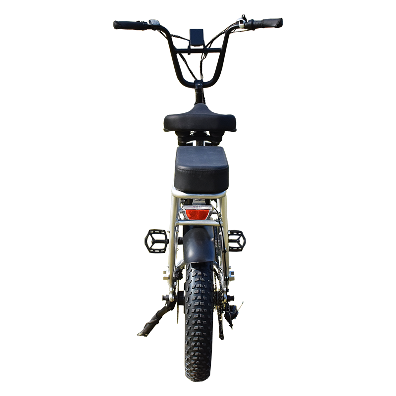 Power-32F Raider Electric Utility Bike The Jack of All Trades